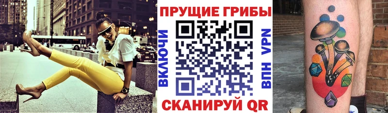 Галлюциногенные грибы GOLDEN TEACHER Нерчинск